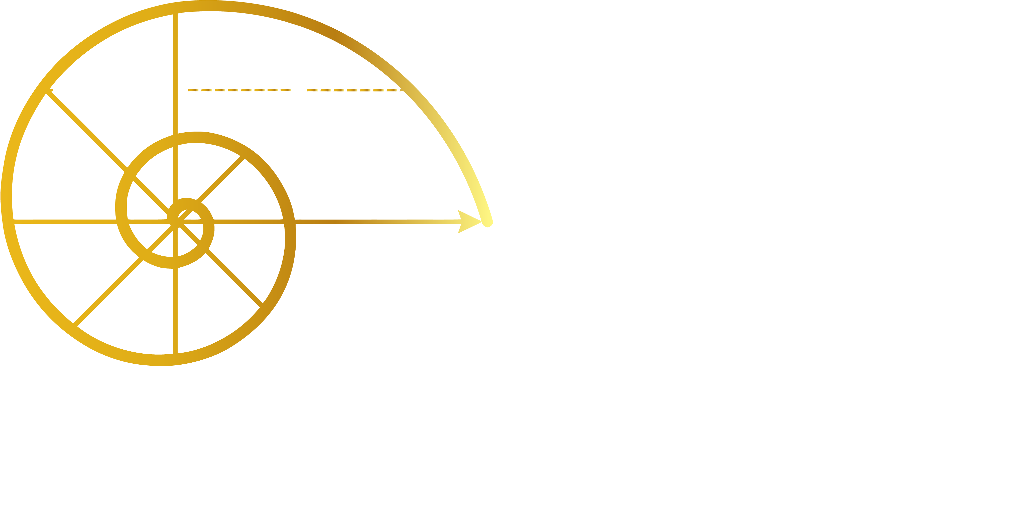 HANN Endüstriyel Logo